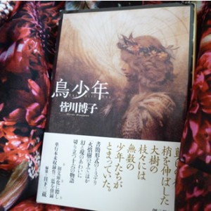 2014-0809torishounen