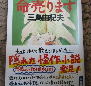 20160531131933_IMG_0031~2