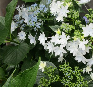 20160604152840_IMG_0039~2