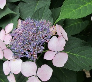 20160604153112_IMG_0044~2