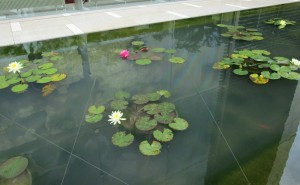 20160719112938_IMG_0266~2