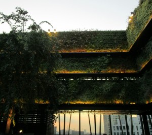 20160806182340_IMG_0318~2