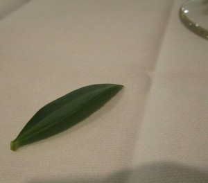 20161001181237_IMG_0697~2