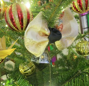 20161202171352_IMG_1111~2